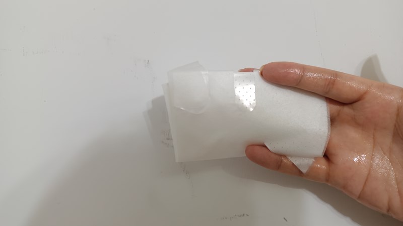試用
